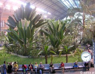 anklicken zum Vergrößern - click to enlarge